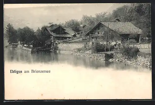 AK Oberried am Brienzersee, Ebingen, Gebäudegruppe am Ufer