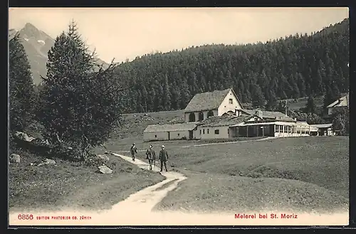 AK St. Moritz, Waldpartie an der Meierei