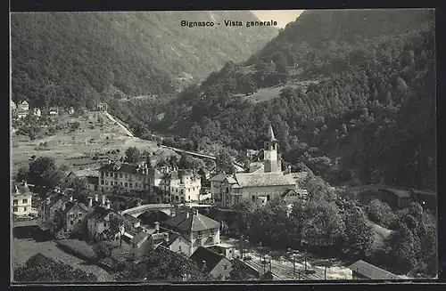 AK Bignasco, Vista generale