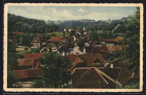 AK Zell, Teilansicht mit Fernblick aus der Vogelschau