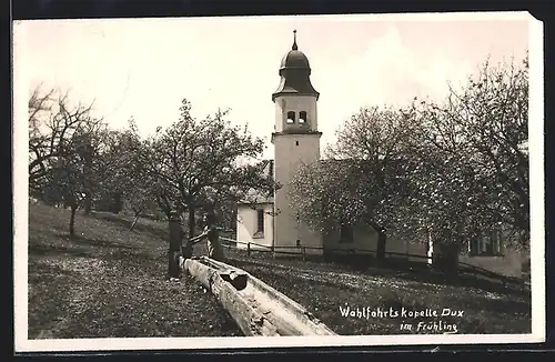 AK Dux, An der Wallfahrtskapelle im Frühling