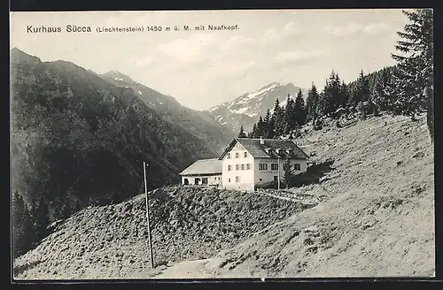 AK Liechtenstein, Kurhaus Sücca mit Naafkopf