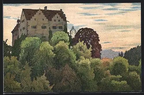Künstler-AK Ernst E. Schlatter: Ermatingen, Blick zum Schloss Salenstein
