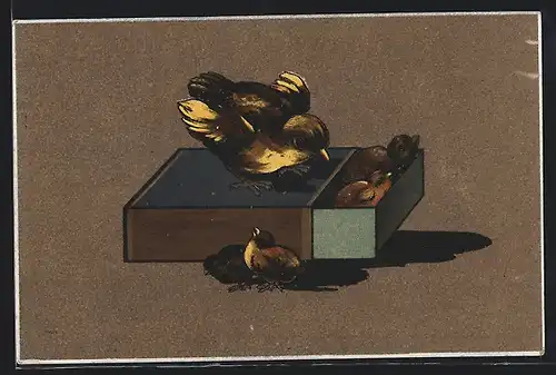 Lithographie Küken in einer Streichholzschachtel