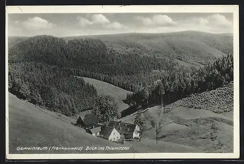 AK Gemeinreuth /Frankenwald, Blick ins Thiemitztal