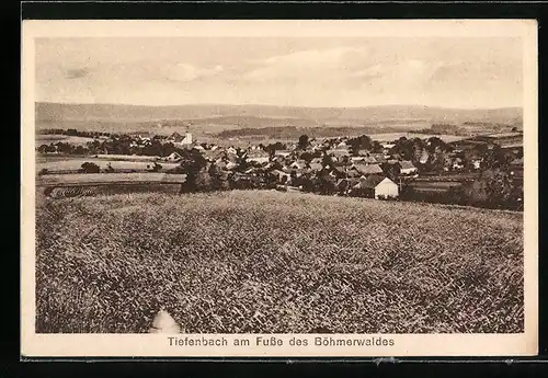 AK Tiefenbach /Böhmerwald, Gesamtansicht mit Umgebung