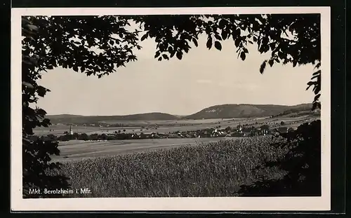 AK Mkt. Berolzheim /Mfr., Gesamtansicht aus der Ferne