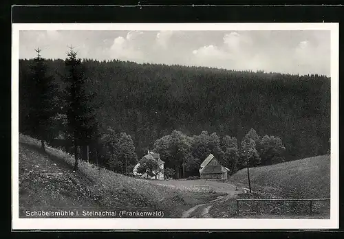 AK Schübelsmühle i. Steinachtal, Zwei Häuser vor Waldgebiet