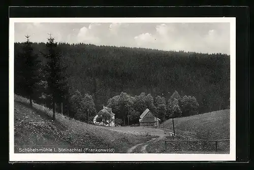 AK Schübelsmühle i. Steinachtal, Zwei Häuser gegen Wald