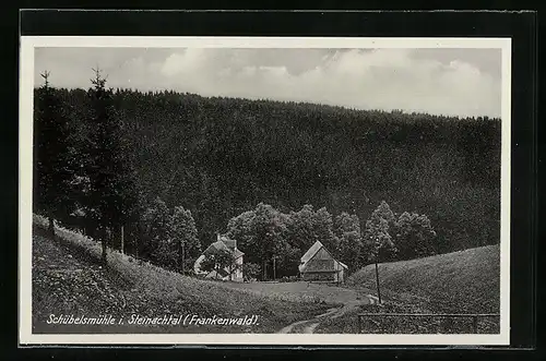 AK Schübelsmühle i. Steinachtal / Frankenwald, Panorama