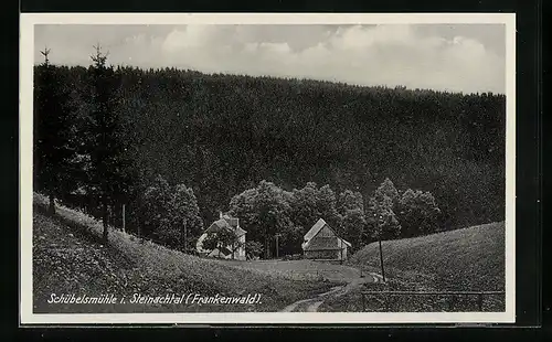 AK Schübelsmühle i. Steinachtal / Frankenwald, Panorama