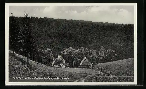 AK Schübelsmühle i. Steinachtal / Frankenwald, Panorama