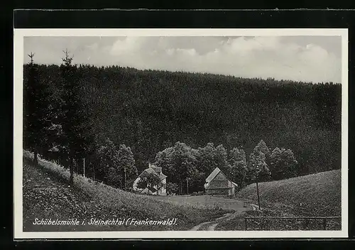 AK Schübelsmühle i. Steinachtal / Frankenwald, Panorama