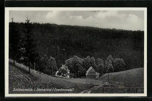 AK Schübelsmühle i. Steinachtal / Frankenwald, Panorama