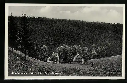 AK Schübelsmühle i. Steinachtal / Frankenwald, Panorama