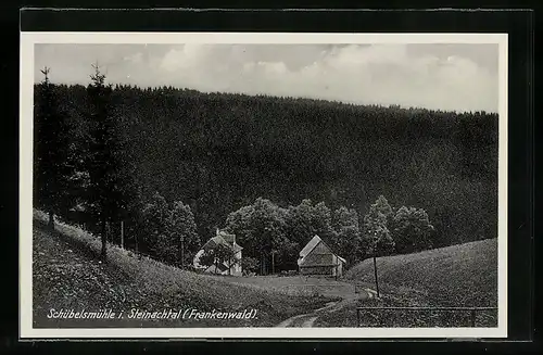 AK Schübelsmühle i. Steinachtal / Frankenwald, Panorama