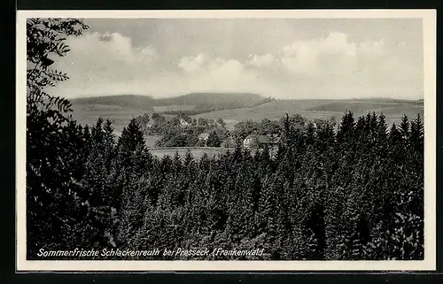 AK Schlackenreuth / Frankenwald, Panorama