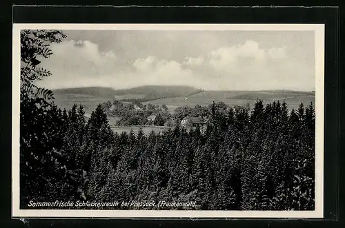 AK Schlackenreuth / Frankenwald, Panorama