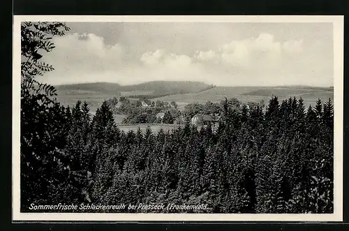 AK Schlackenreuth / Frankenwald, Panorama