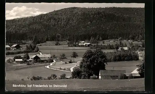 AK Bärnhöhe bei Friedenfels /Steinwald, Ortsansicht mit Waldblick