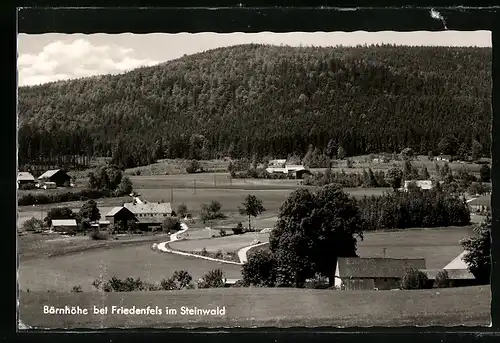 AK Bärnhöhe bei Friedenfels /Steinwald, Ortsansicht mit Waldblick