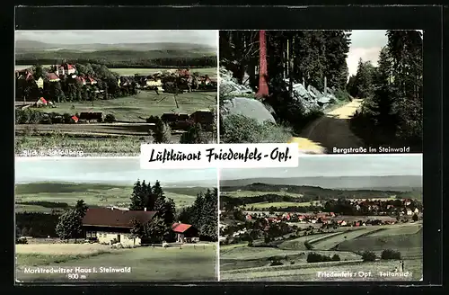 AK Friedenfels, Blick z. Schlossberg, Bergstrasse im Steinwald, Marktredwitzer Haus i. Steinwald