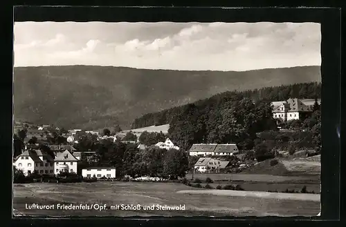 AK Friedenfels / Opf., Ortsansicht mit Schloss und Steinwald