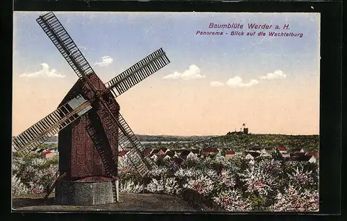 AK Werder a. H., Baumblüte, Panorama Blick auf die Wachtelburg u. Windmühle