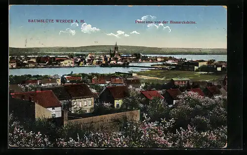 AK Werder a. H., Panorama von der Bismarckhöhe über blühende Bäume