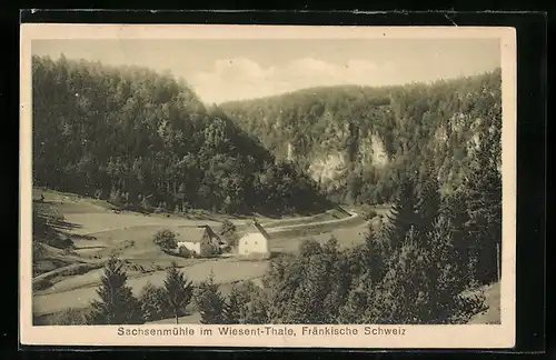 AK Sachsenmühle im Wiesent-Thale, vereinzelte Häuser in Tallauf