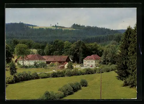 AK Gut Peugenhammer, Hotel-Gaststätte Zottbachhaus, Bes. Lisl Lang-Haberstumpf