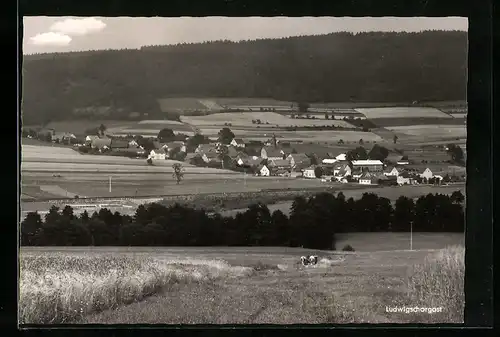 AK Ludwigschorgast, Totalansicht