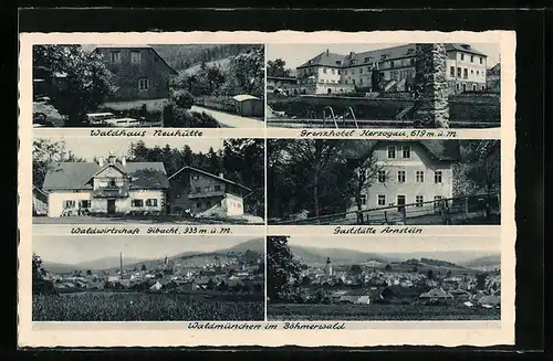 AK Waldmünchen im Böhmerwald, Grenzhotel Herzogau, Gastwirtschaft Gibacht