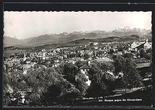 AK Horgen, Blick gegen die Glarneralpen