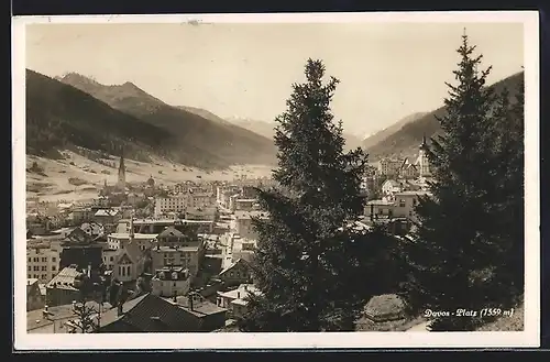 AK Davos-Platz, Ortsansicht hinter Tannen