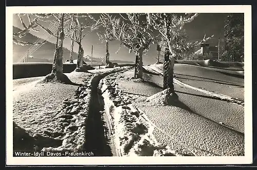 AK Davos-Frauenkirch, Winter-Idyll zwischen schneebedeckten Bäumen