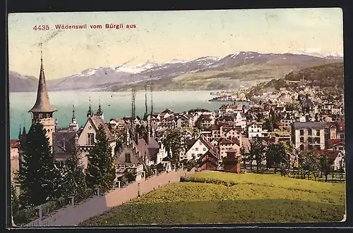 AK Wädensweil, Blick vom Bürgli