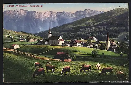 AK Wildhaus /Toggenburg, Ortsansicht mit Kühen