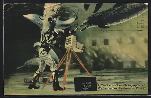 AK Marineland, Florida, Ocean Floor Photographer at Marine Studios