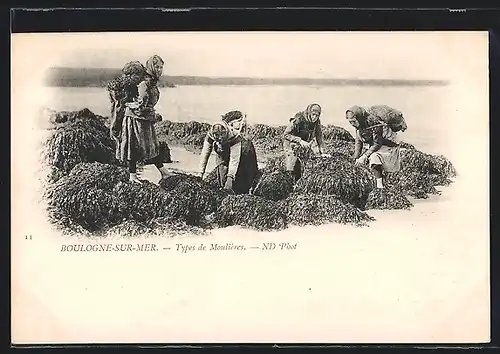 AK Boulogne-sur-Mer, Types de Moulières