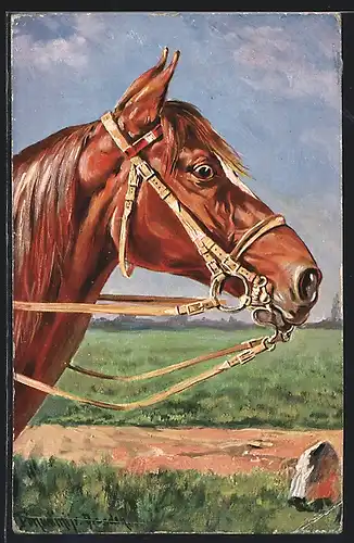 Künstler-AK Ermenegildo Carlo Donadini: Rotbraunes Pferd mit weisser Blesse und Zaumzeug