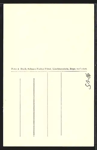 AK Vaduz, Schloss und drei Frauen in Liechtensteiner Tracht