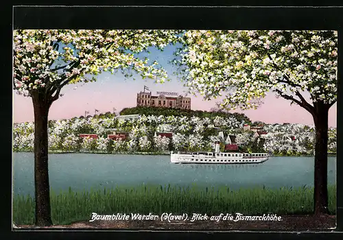 AK Werder / Havel, Blick auf die Bismarckhöhe, Flusspartie mit Dampfer, Baumblüte
