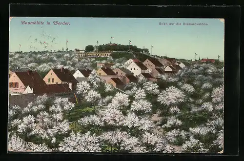 Künstler-AK Werder /Havel, Blick auf die Bismarckshöhe mit Baumblüte