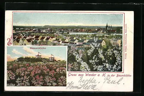 AK Werder /Havel, Bismarckhöhe und Ort, Baumblüte