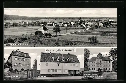 AK Heroldsbach /Ofr., Forsthaus und Schloss Thurn v. Sturmfelder-Hornek