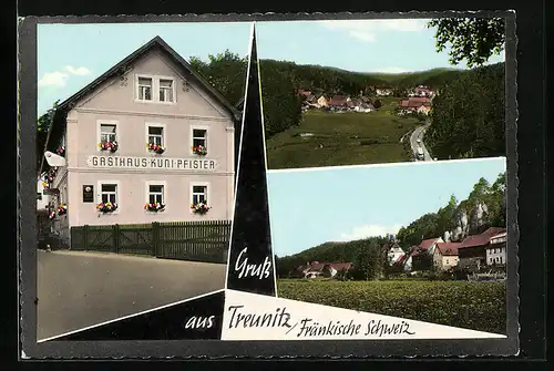 AK Treunitz, Gasthaus-Pension Pfister, Panoramaansicht