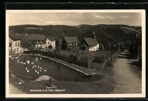 AK Steinbach an der Haide, Strassenpartie am Dorfweiher mit Kirche