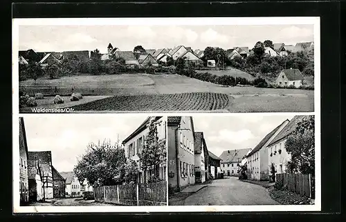 AK Weidensees, Panorama, Strassenzüge