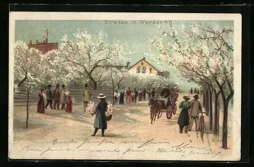 Lithographie Werder a. H., Strassenansicht mit Pferdekutsche und Passanten zur Baumblüte